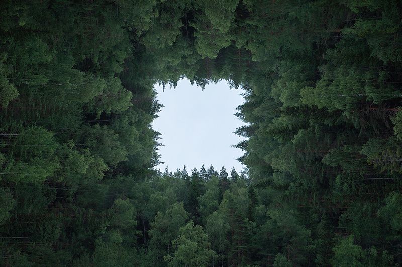 Карелия. Гимолы. 3 августа 2024.photo preview