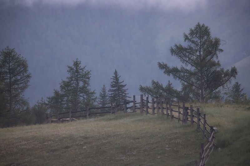 Туманное утро на окраине Алтаяphoto preview