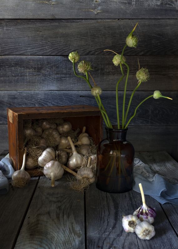 Чеснокphoto preview