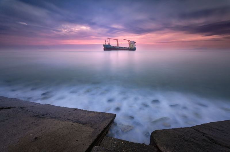 Брошенныйphoto preview