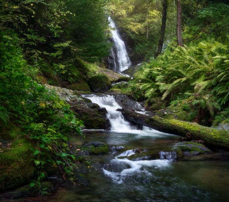 Serenityphoto preview