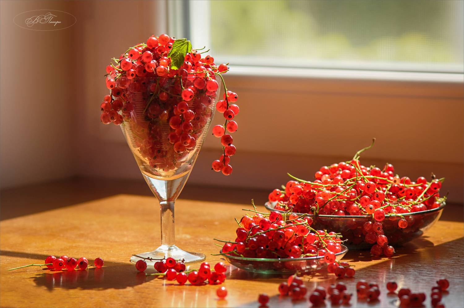 Лето. Автор: Вера Петри смородина бокал, Вера Петри