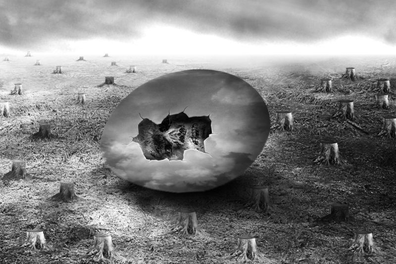 The Darknessphoto preview