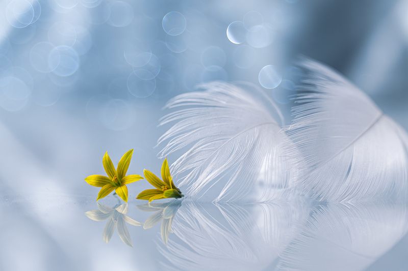 close-up Dscreetly фото превью