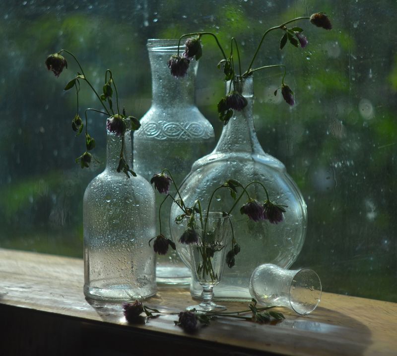 А сентябрь все ближе.photo preview