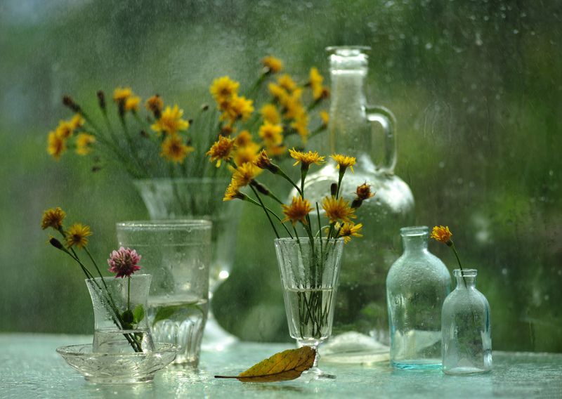 Еще один летний денёк.photo preview