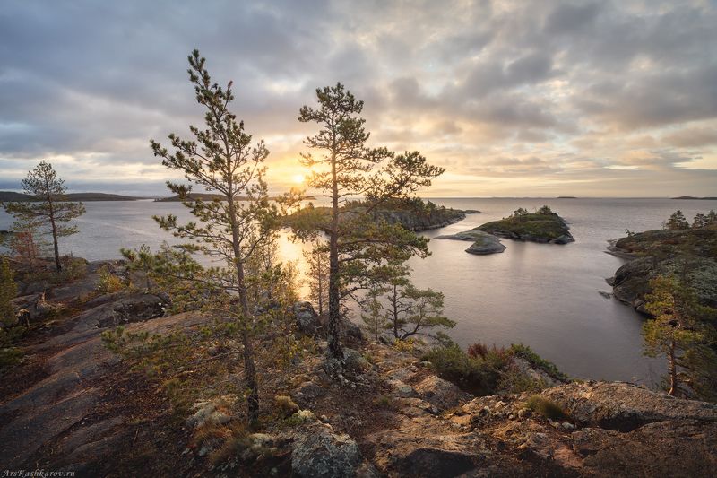 ладога, ладожские шхеры, карелия, сортавала, северное приладожье, скалистые острова, сосны, сельги, редколесье, сортавала, природа карелии \