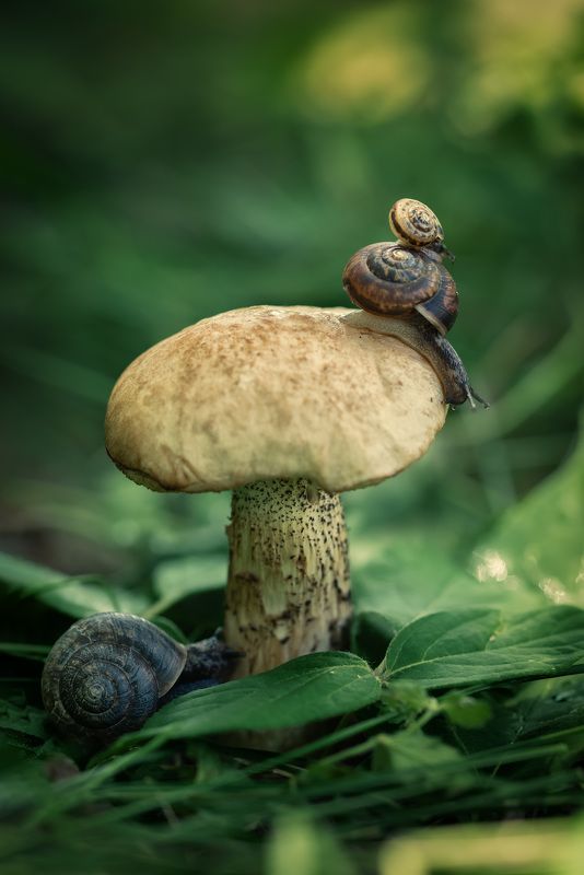 От нас не спрячешься...photo preview