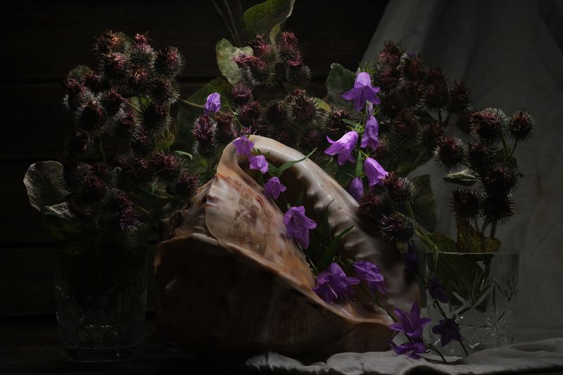 Токсичностьphoto preview