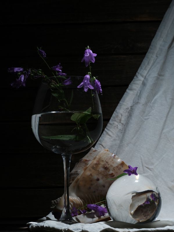 Черный, Белый, Фиолетовыйphoto preview