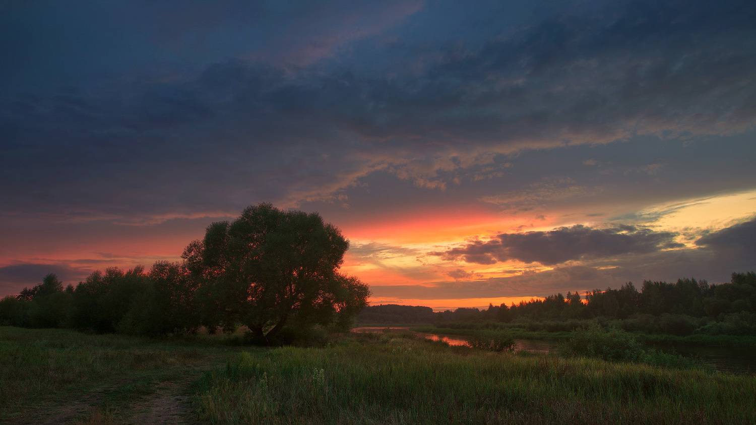 Автор: Михаил Кушнер , Михаил Кушнер