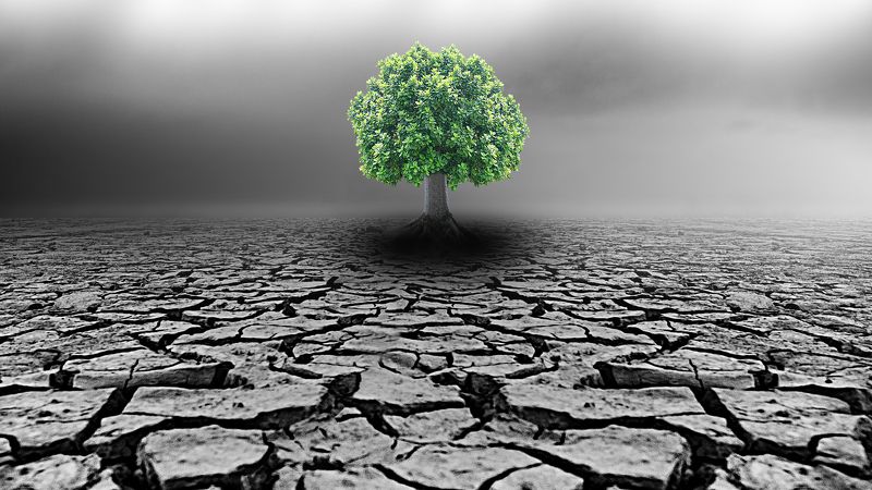 The Droughtphoto preview