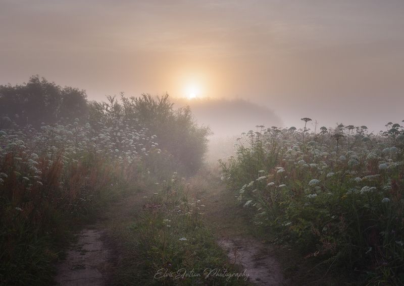 пейзаж, природа На заре.photo preview