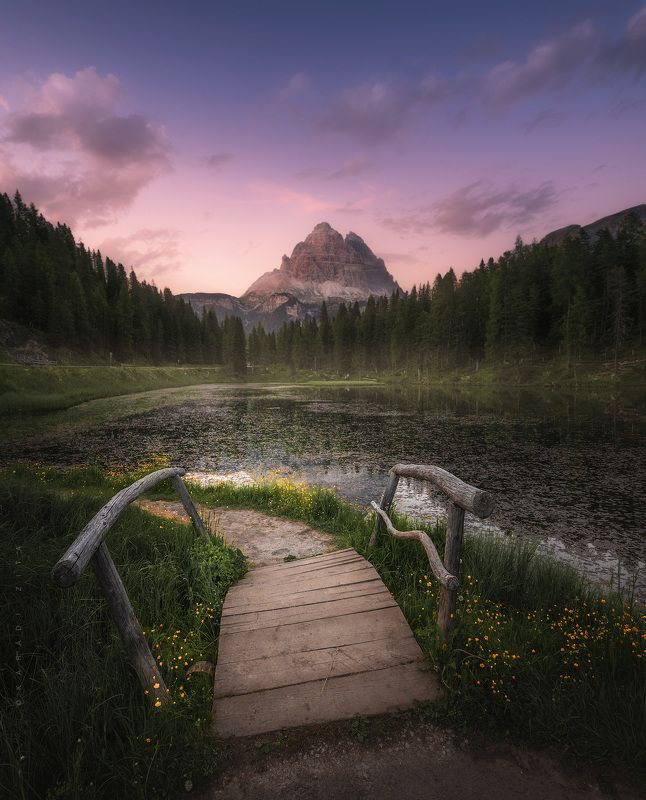 dolomites, dolomiti, mountains, mountainscape, italy, italia, roots, clouds, landscape, sky, sun, trees, tree, nature Sunset Lakephoto preview