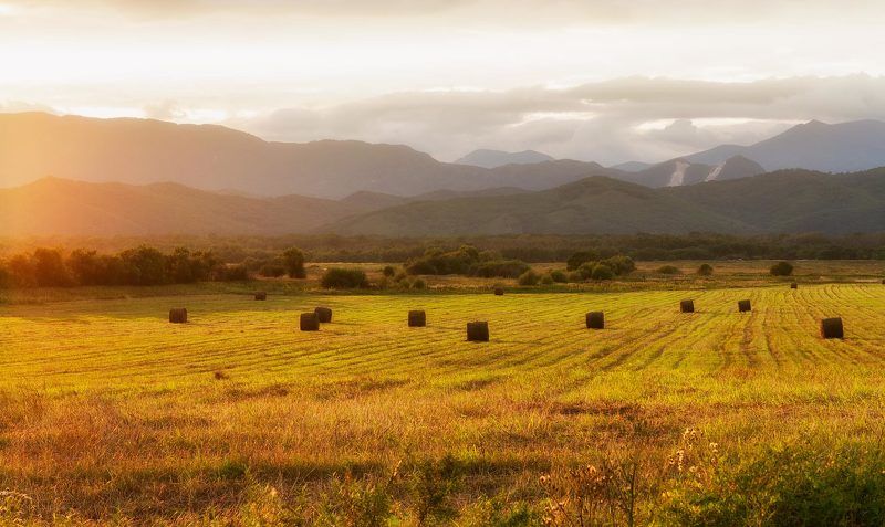 золотая долина, приморский край, осень, поле, октябрь, вечер, сено, горы в лучах заката фото превью