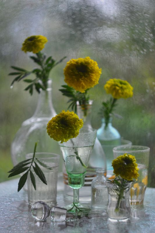 Дожди-дожди.photo preview