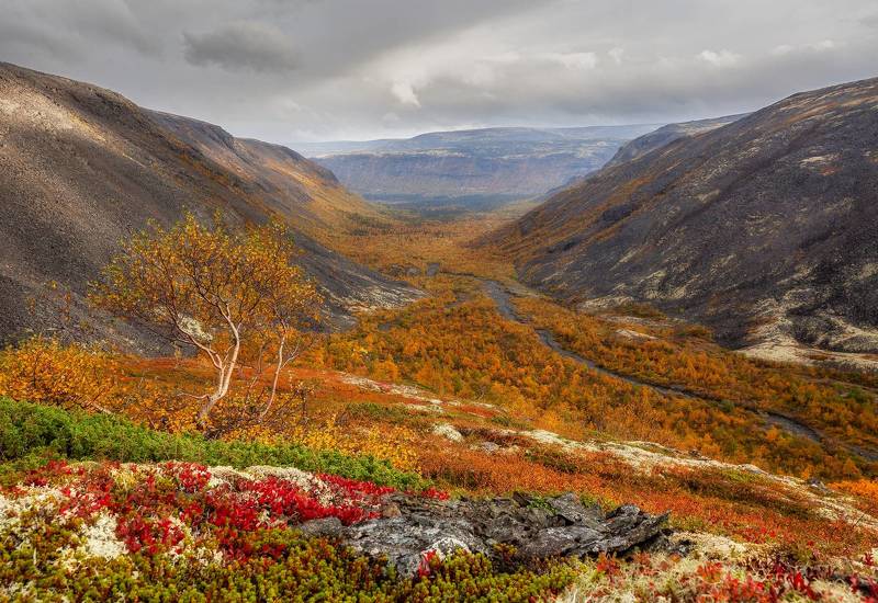 Вьется речка змейкойphoto preview