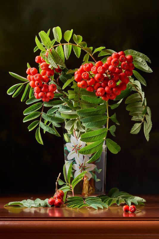 Зардела к осени рябина…photo preview