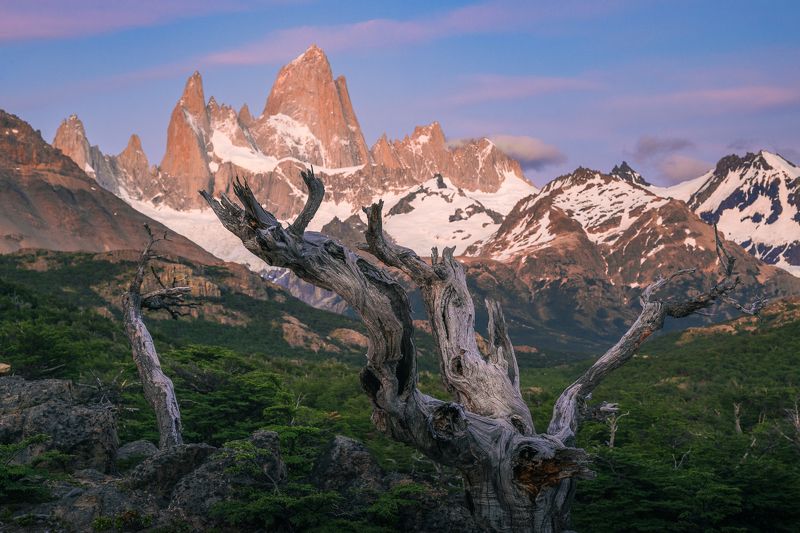 фицрой, патагония, аргентина, горы, рассвет Перед рассветомphoto preview