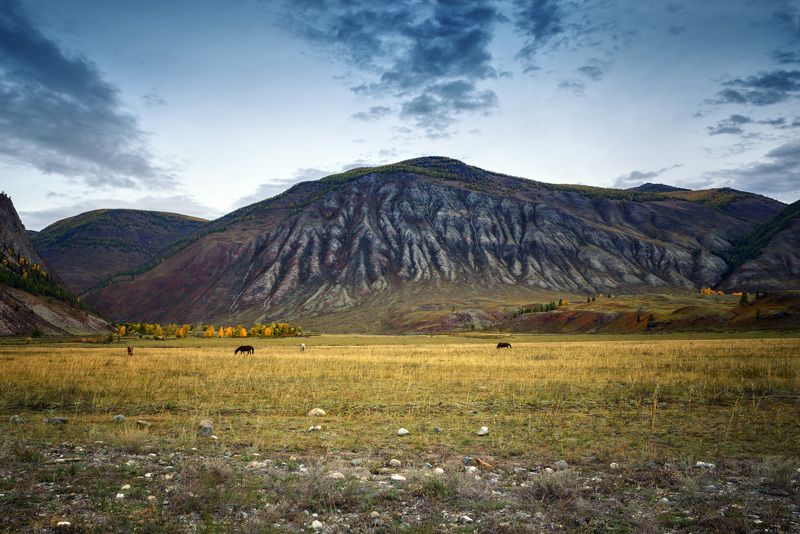 Алтайский пейзажphoto preview