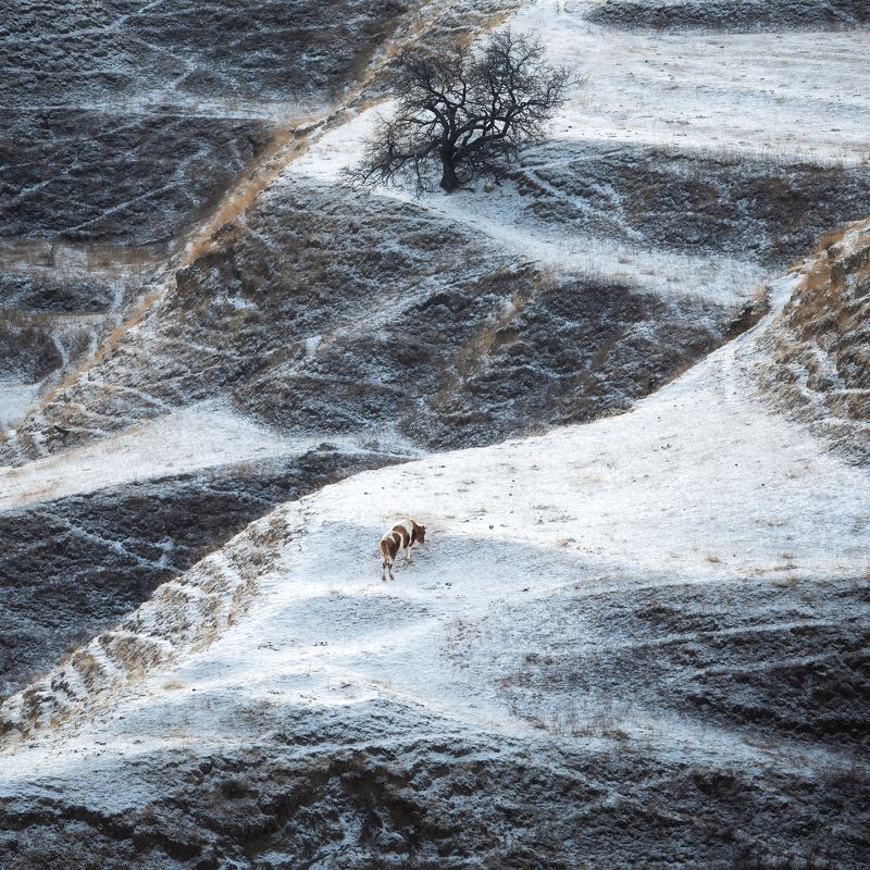 дагестан, кудали Два одиночестваphoto preview