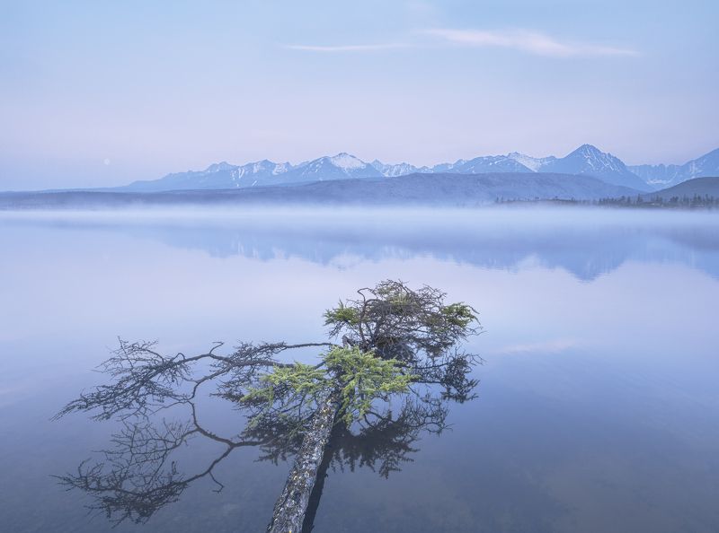 Синее безмолвиеphoto preview