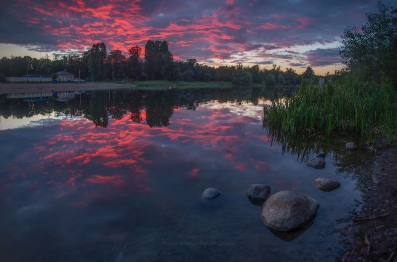 природа, царское село, царское, питер, landscape, tsarskoyeselo, нижний парк, отднльный парк, городской пейзаж Август в Царском Селеphoto preview