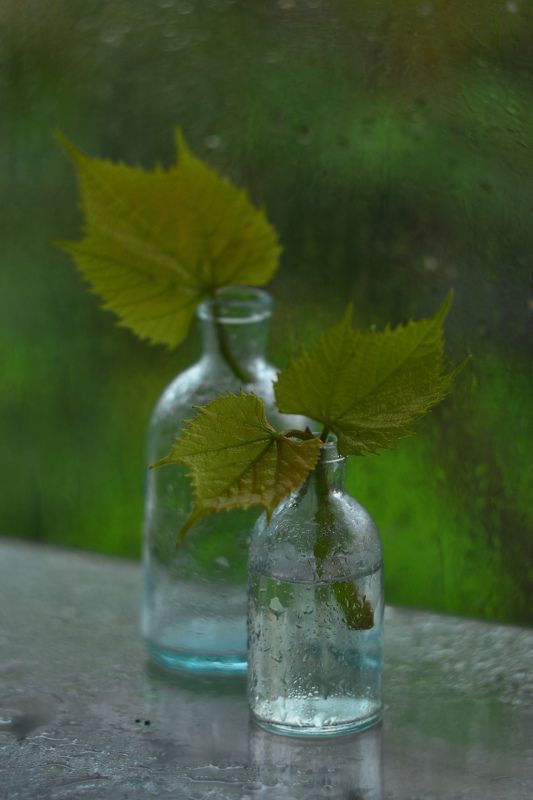 И не выросла еще та ромашка, на которой я себе погадаю.photo preview