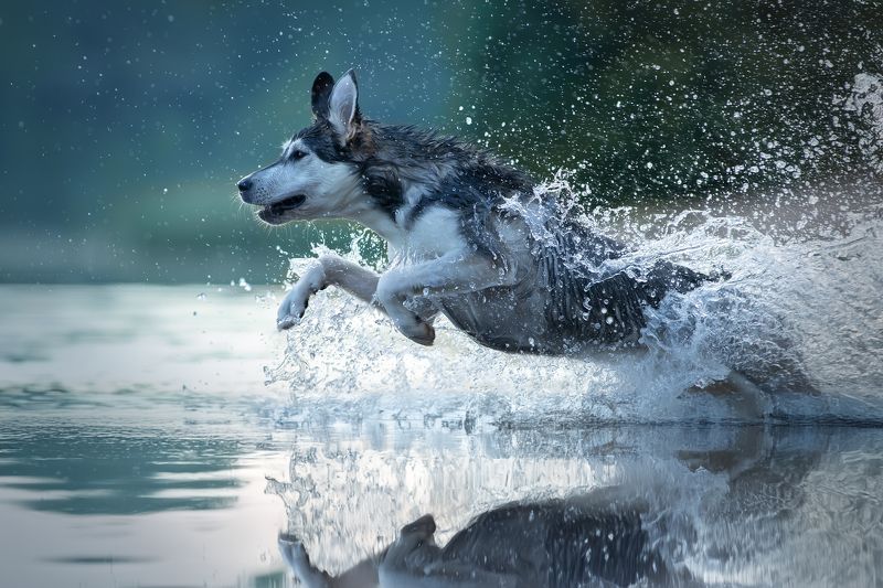 Наядаphoto preview