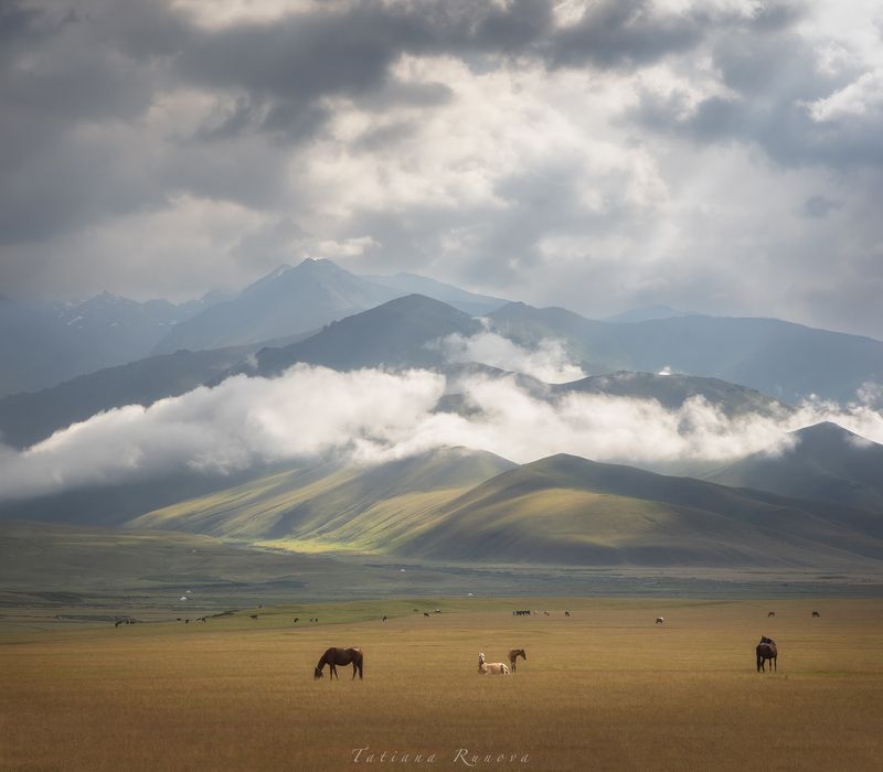 Идиллияphoto preview