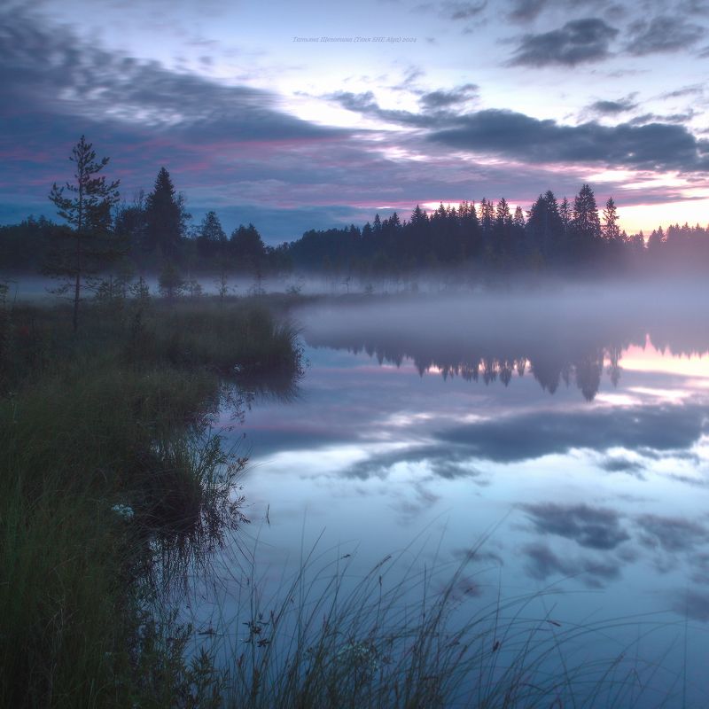 луга, ленобласть, пейзаж, рассвет, туман,  landscape, nature, природа, foggy, forest, болото, ленинградская область К полночиphoto preview