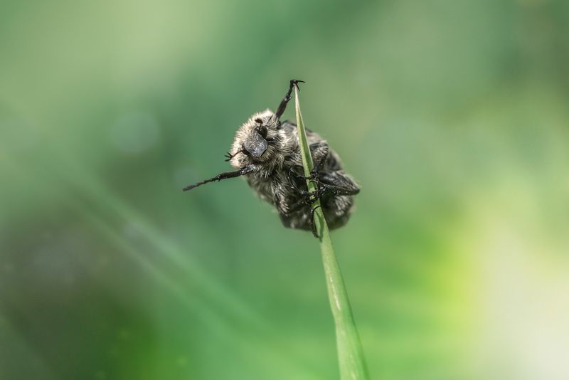 Ах, лето.....photo preview