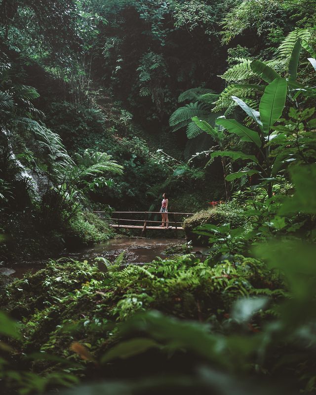 Krisik фото превью