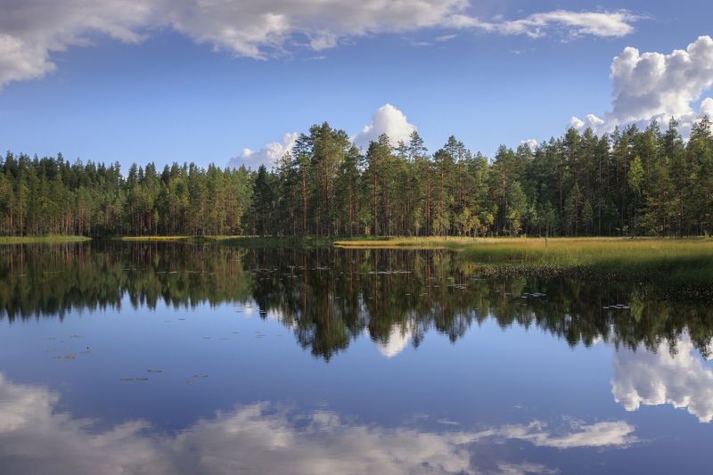 озеро лес сосна отражение облако Кружево карельских озерphoto preview