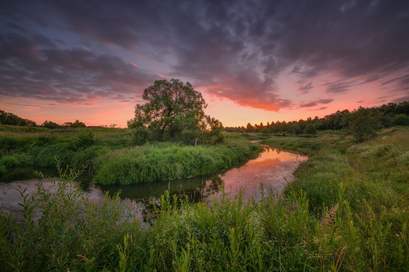 Утро у реки...photo preview