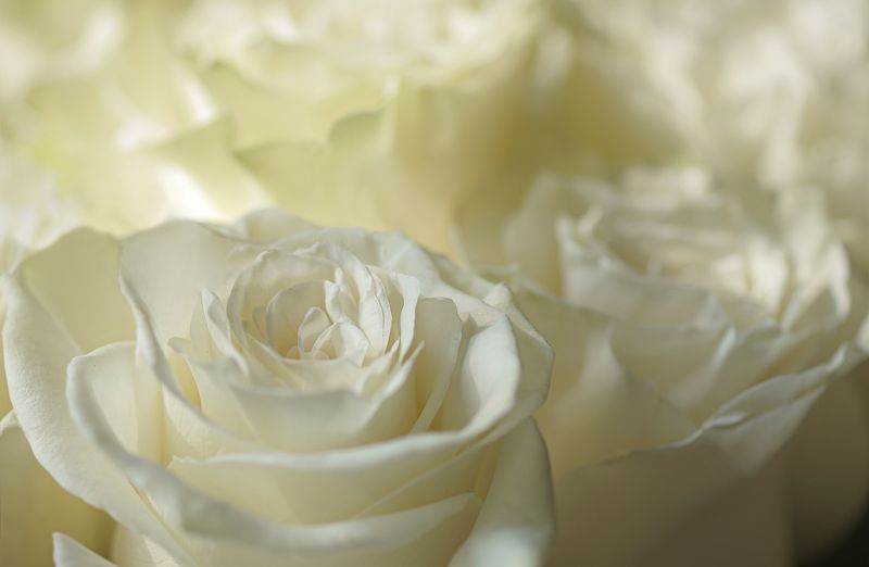 Утроphoto preview