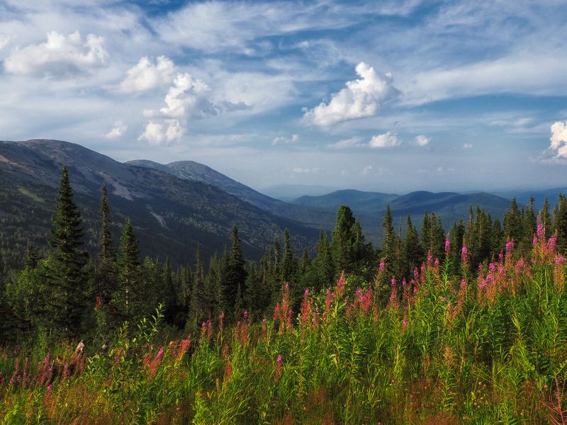 горная шория, шерегеш, сибирь Горная Шорияphoto preview