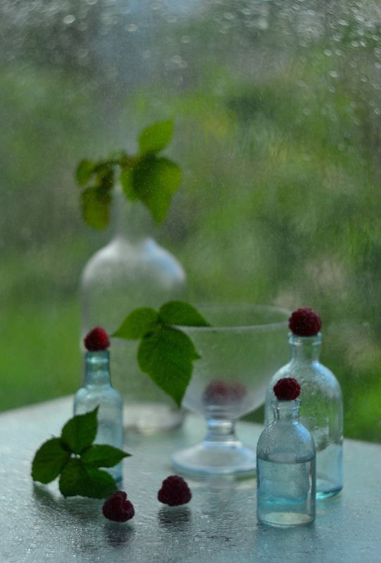 Августа серединка.photo preview