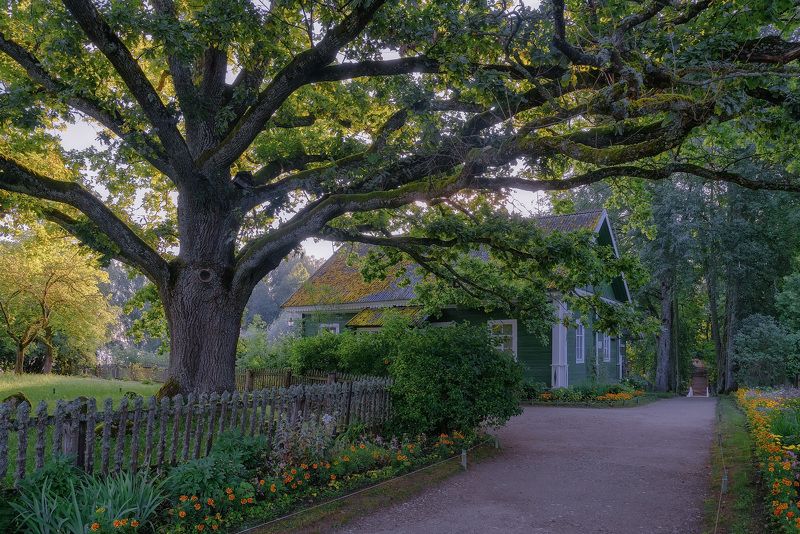 Михайловскоеphoto preview