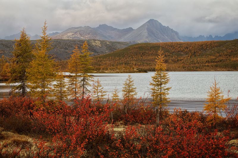 *** фото превью