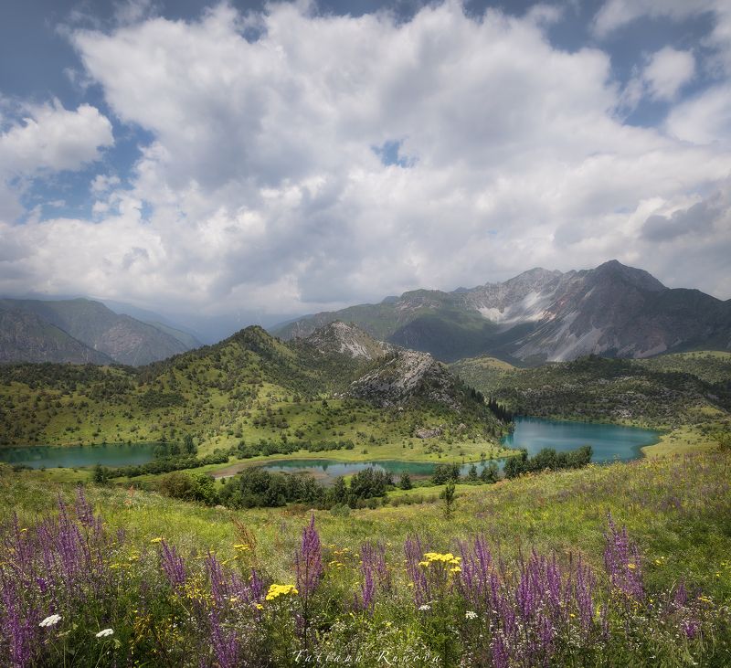 В цветах среди озер..... Киргизияphoto preview