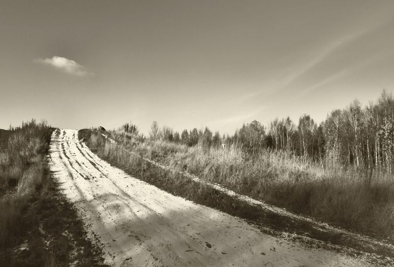 Дорогаphoto preview