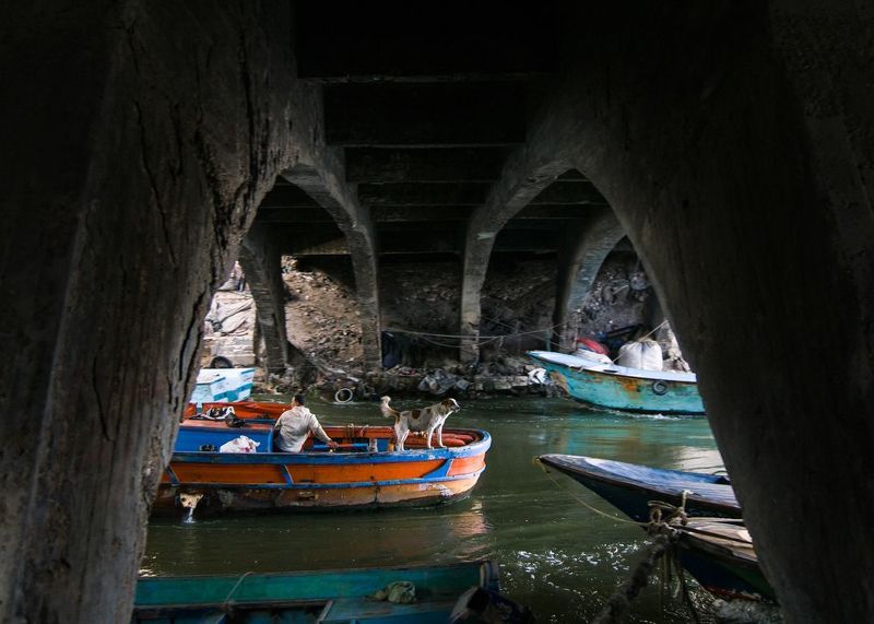 #street, #moment Daily Life in Alexandria 2024photo preview