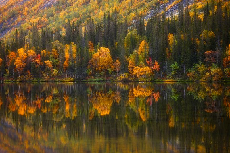 Отраженияphoto preview