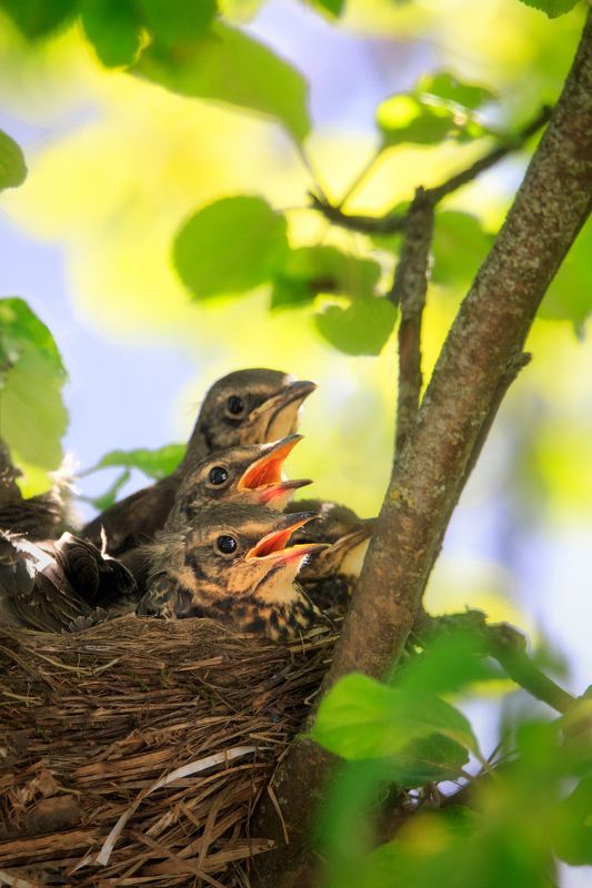 В ожидании Яндекс-доставки)photo preview