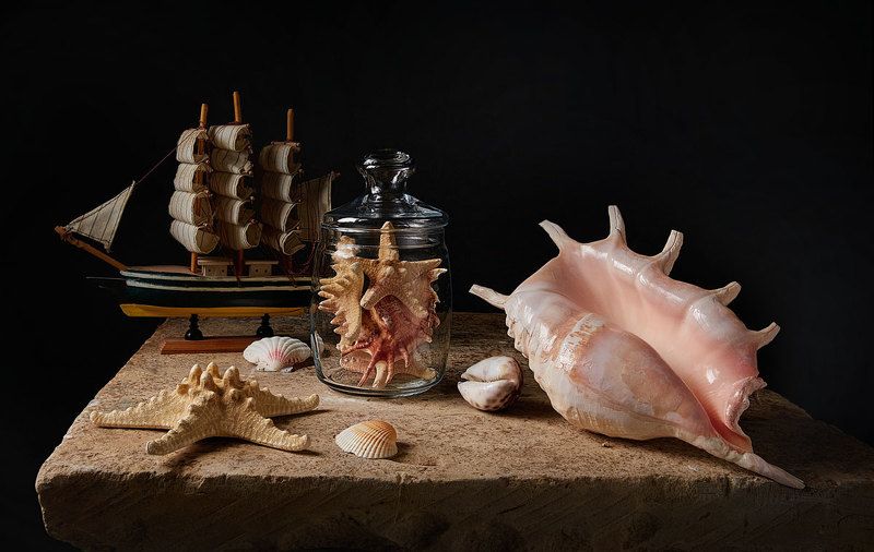 Натюрморт с раковиной Lambis Truncataphoto preview