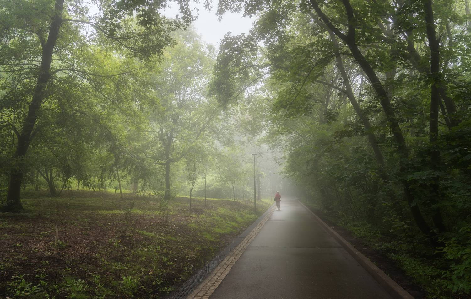 В парке. Автор: Колесов Андрей лето, утор, парк, Колесов Андрей