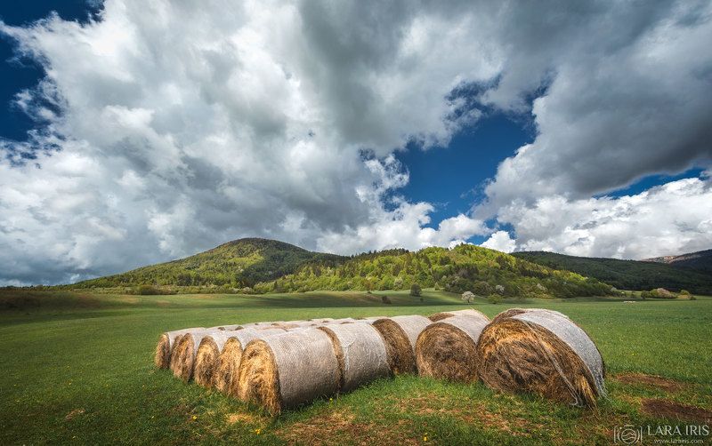 Pastoralphoto preview