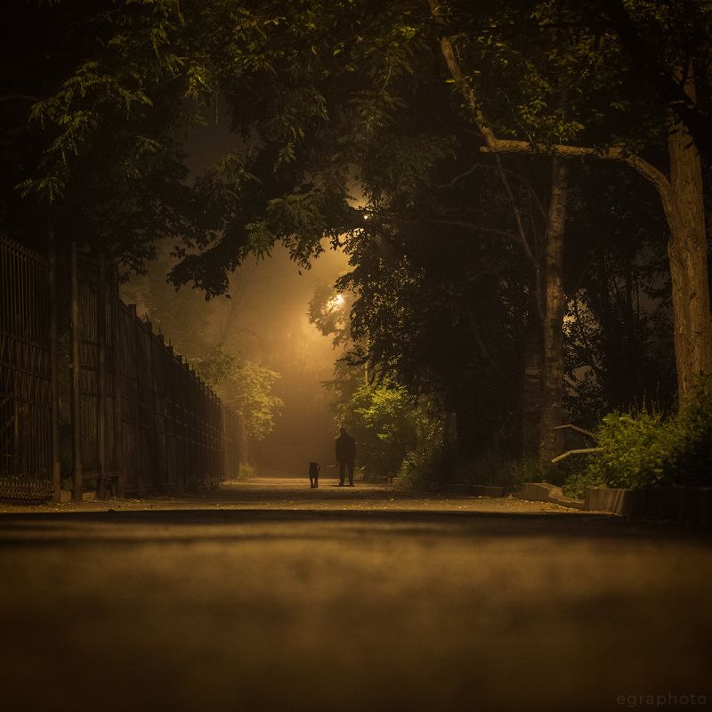 владивосток, туман, ночь Ночь, туман, асфальт... Владивостокphoto preview