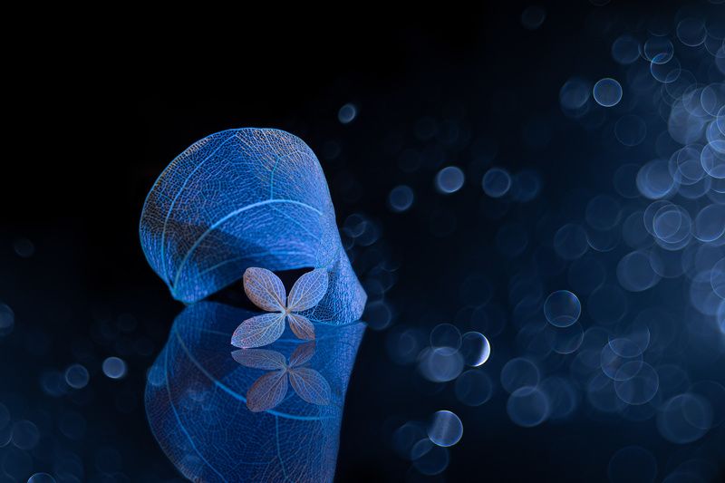 close-up Nothingness фото превью